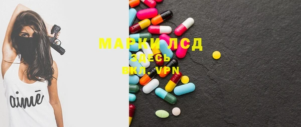 spice Новодвинск