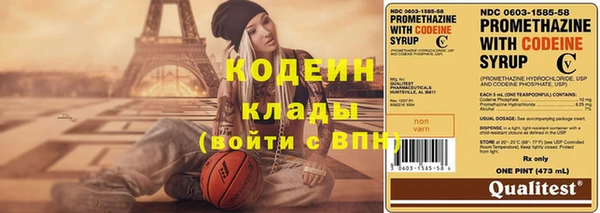 сатива Новозыбков