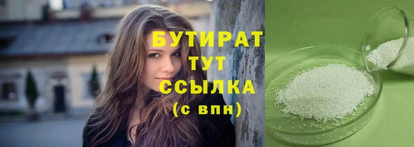 сатива Новозыбков