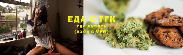 сатива Новозыбков