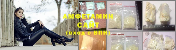 сатива Новозыбков