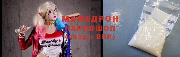 сатива Новозыбков