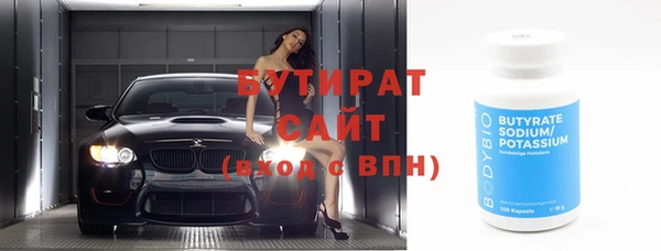 сатива Новозыбков