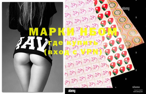 spice Новодвинск