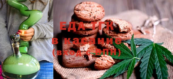 сатива Новозыбков