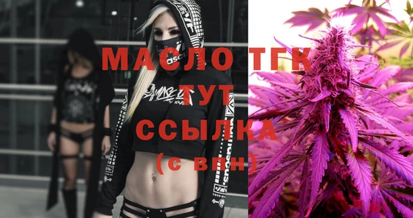 сатива Новозыбков
