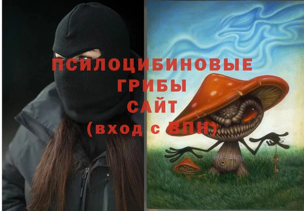сатива Новозыбков