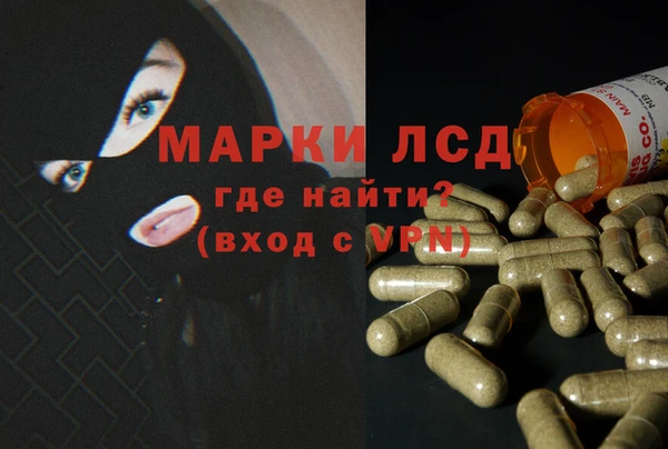 spice Новодвинск