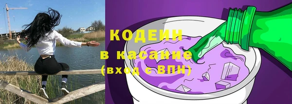 сатива Новозыбков